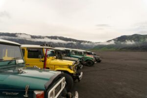 Gowisata-Bromo via Probolinggo: Panduan Lengkap ke Gunung Bromo