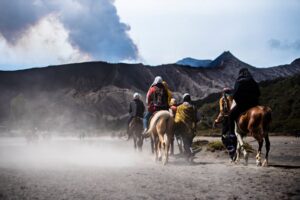 Gowisata-Pesona Eksotis Bromo: Panduan Lengkap Open Trip Bromo Murah
