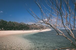 Gowisata-7 Rekomendasi Pantai Malang Selatan Indah dan Wajib Dikunjungi