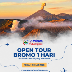 Open Tour Bromo 1 Hari