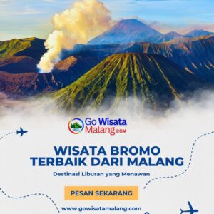 wisata bromo terbaik dari malang